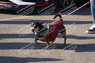 media/Nov-11-2023-GTA Finals Buttonwillow (Sat) [[117180e161]]/Around the Pits/